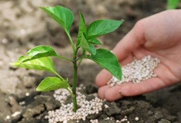 chemical and fertilizer