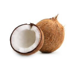 Coconut / Coco