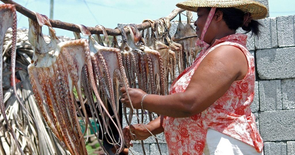 Dried octopus