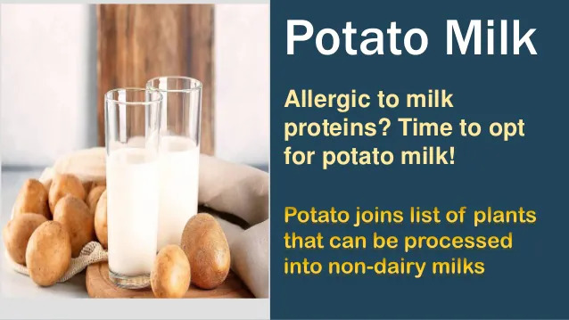 Potato Milk