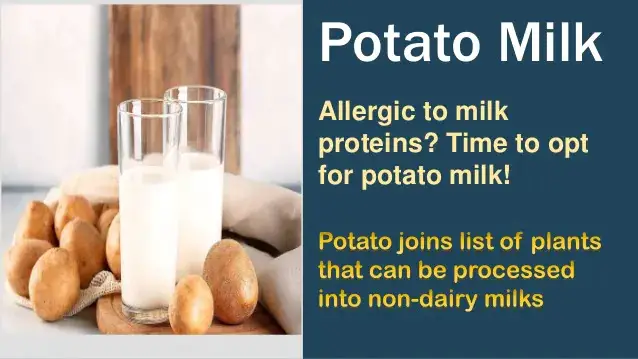 Potato Milk