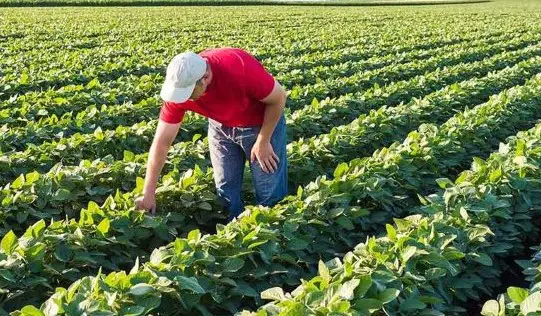 Agroecology-farm