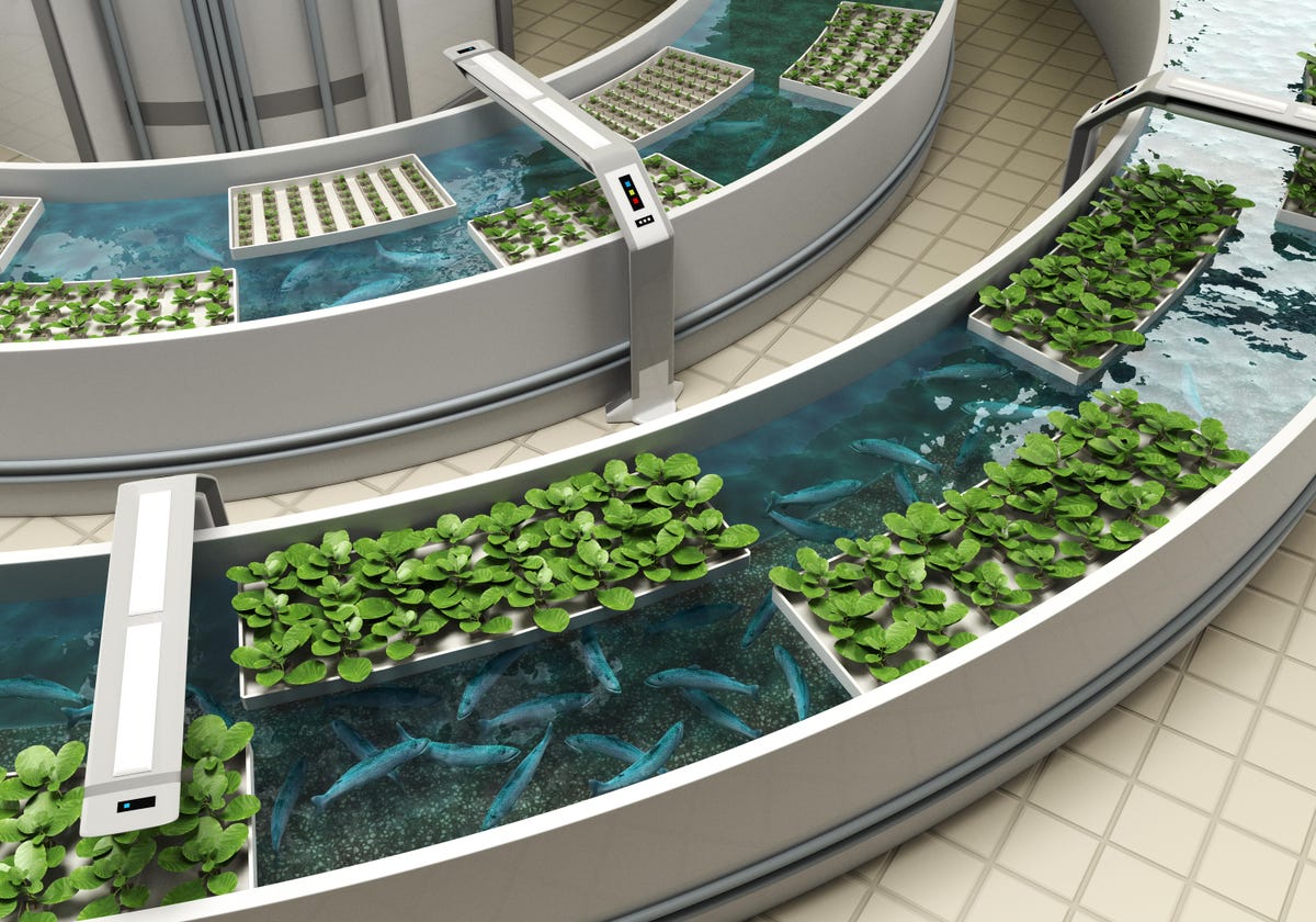 Closed loop aquaponics