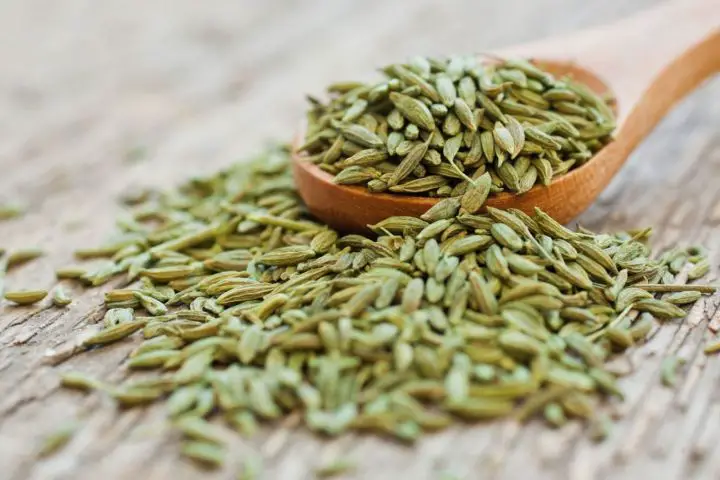 Gros Anis 40g - Agromoris Agromoris