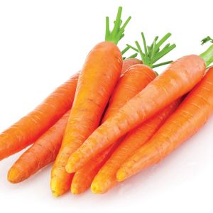 carrot / carotte