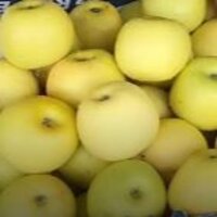 Apples golden 252 22kgs