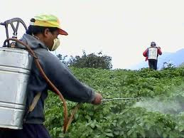 Misuse of pesticides