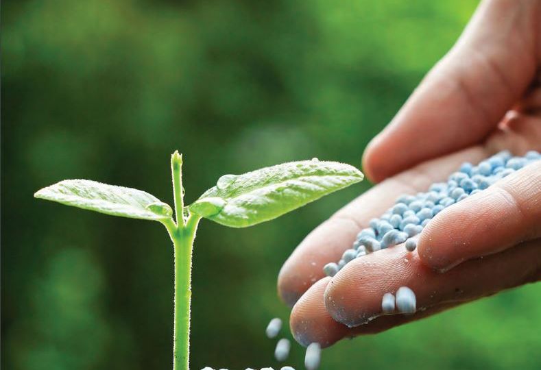 LOCALLY PRODUCED FERTILIZER SUBSIDY SCHEME