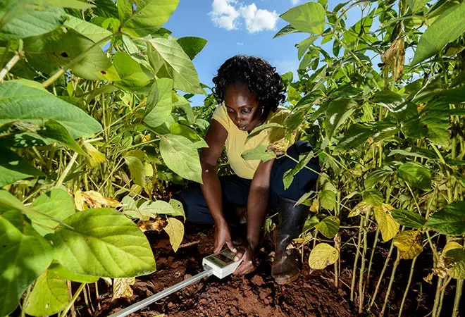 smart-agriculture