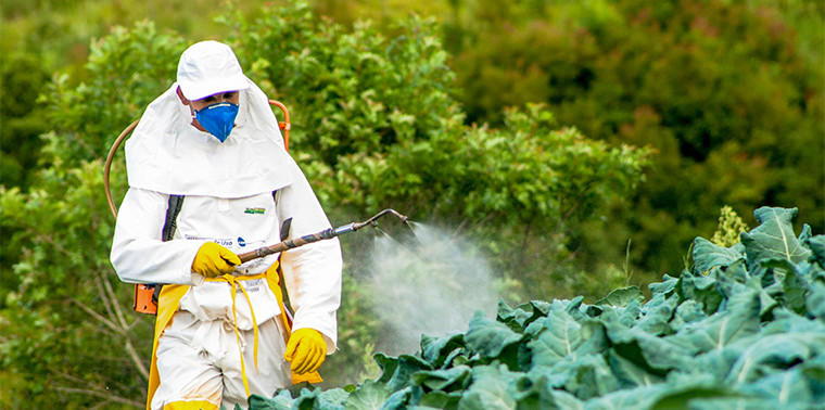 pesticides-agriculture