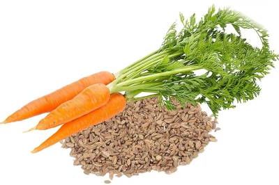 Carrot seeds (pkt)