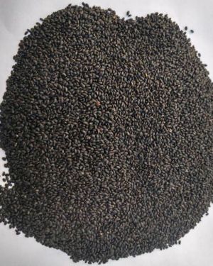 Tukmaria / Basil seeds