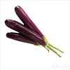 Bringel (Long) / Aubergine (Longue) / Eggplant (Long) (per Kg)