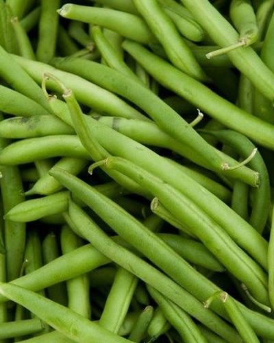 Haricot sans fil / Green Beans (Per Kg)