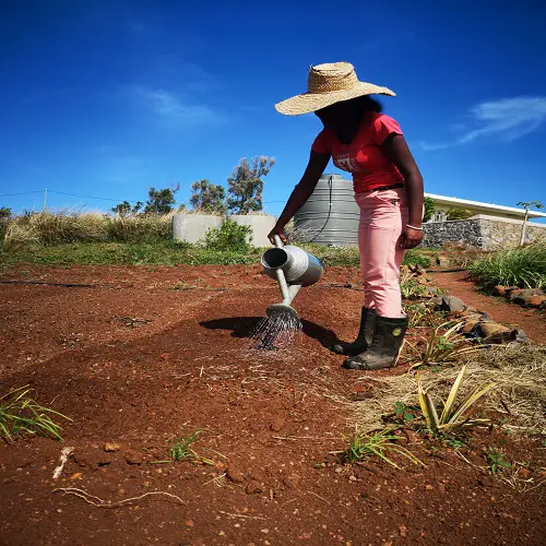 Rodrigues drought