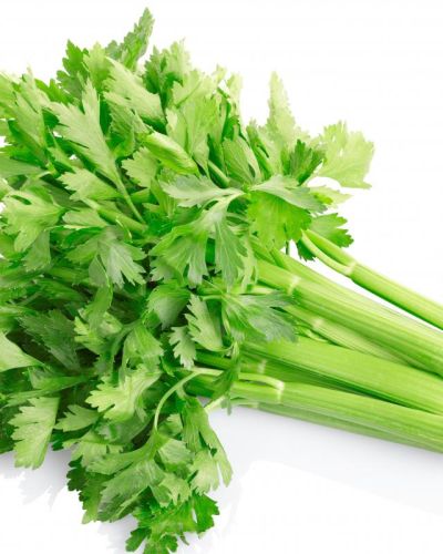 Céleri / Celery (per KG)