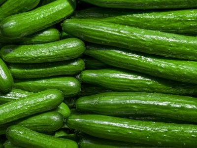 Concombre Vert / Green Cucumber (Per Unit)