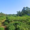 Land for sale at Roche Noires