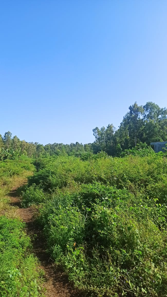 Land for sale at Roche Noires