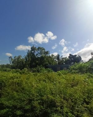 Land for sale at Roche Noires