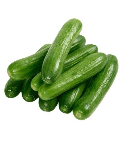 Concombre Vert / Green Cucumber (Per Unit)