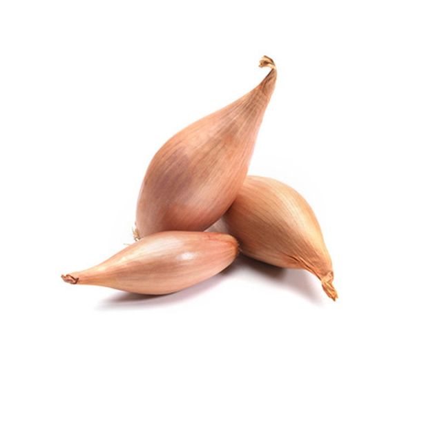 echalote / shallot