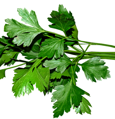 Persil / Parsley (Per pkt)