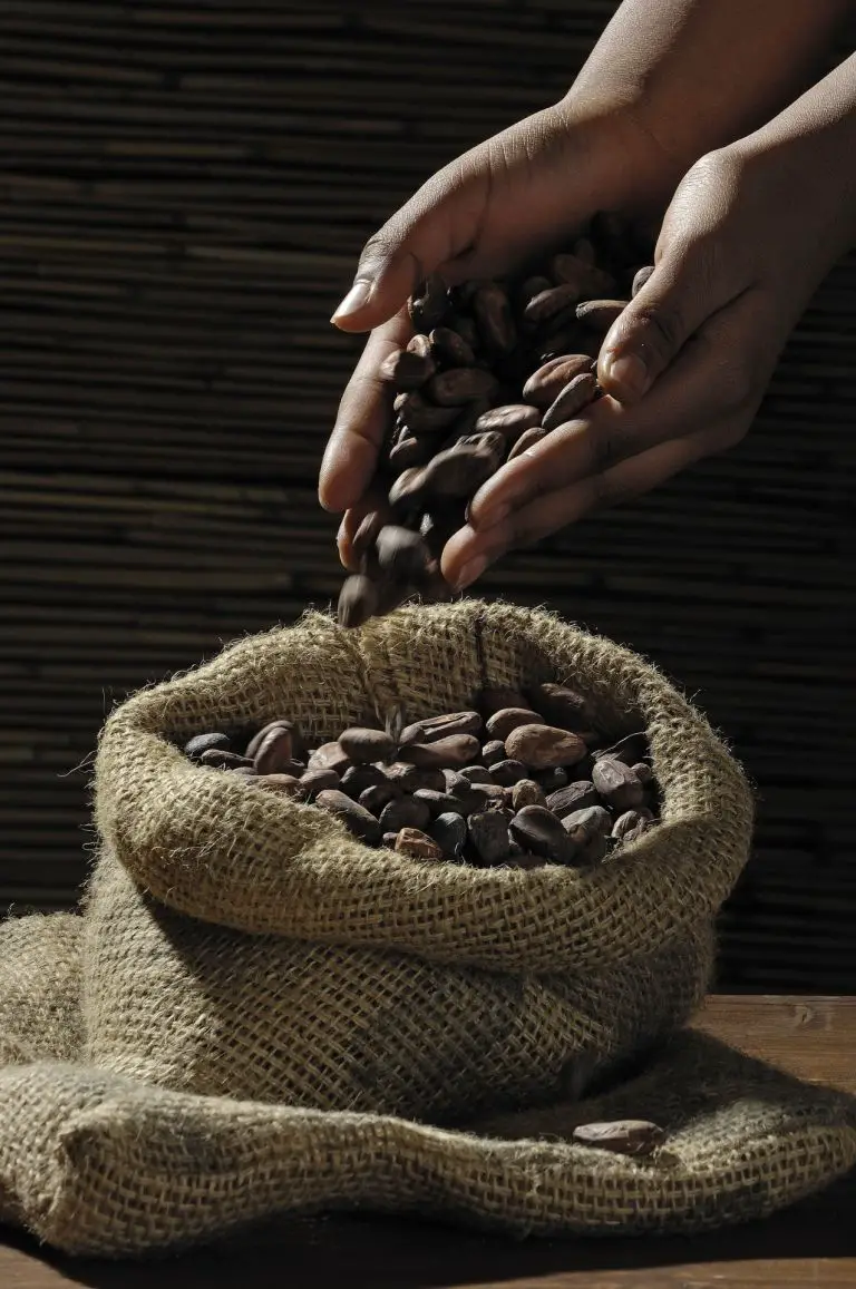 Coffee seed