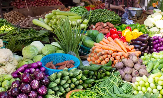 challenges face by the vegetable industry