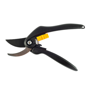 pruner/secateur