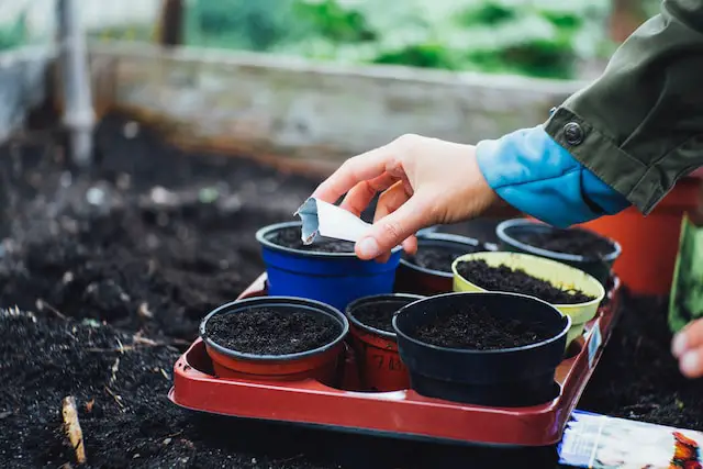 sowing seeds