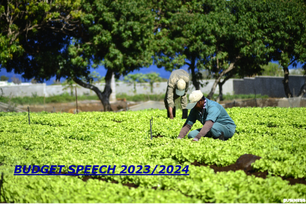 Budget 2023/2024- Agricultural Sector - Agromoris