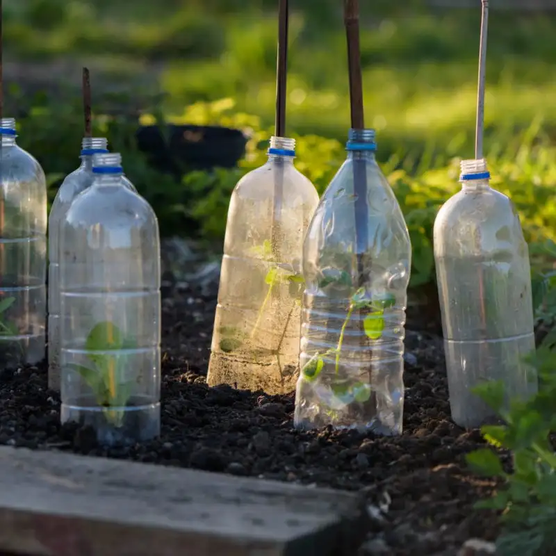 recycling in gardening