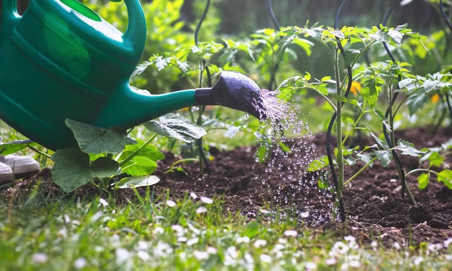 optimized-recycling-water-web