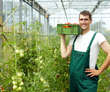 8-Farming-Tips-And-Hacks-How-To-Work-And-Minimize-Effort-1