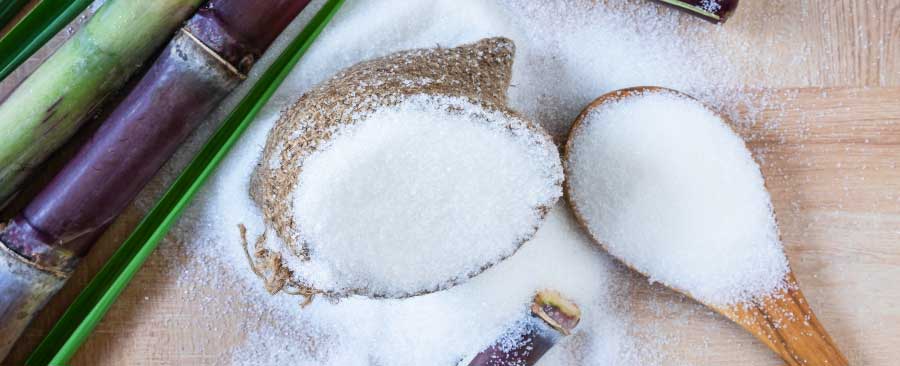A Sweet Journey: Sugar Production Trends Over the Years