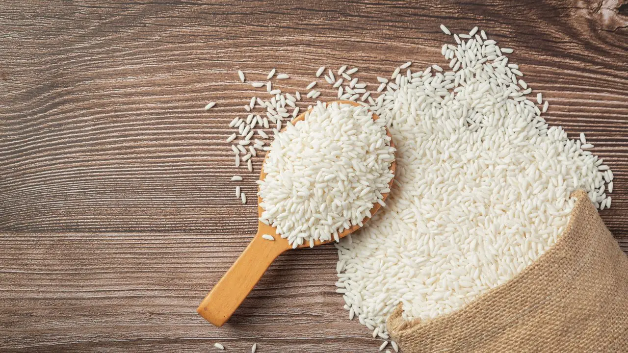India Allows Non-Basmati Rice Exports to Bhutan, Mauritius, and Singapore