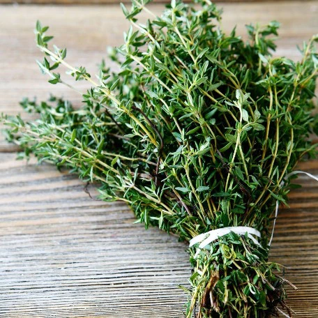 thyme