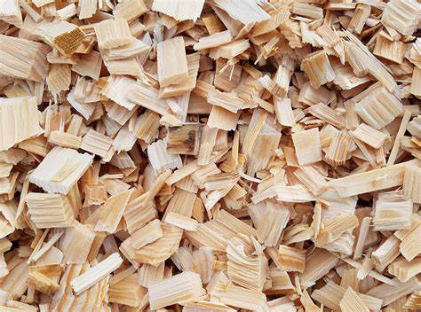 The Benefits and Proper Use of Wood Chips in Gardening