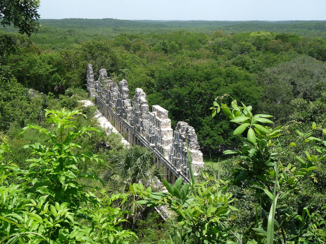 Community Effort to Save the Maya Rainforest