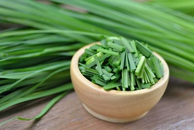Grow Garlic Chives in your garden for the best harvest