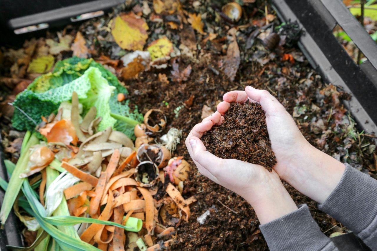 Mastering the Art of Composting