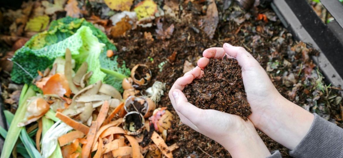 Mastering the Art of Composting