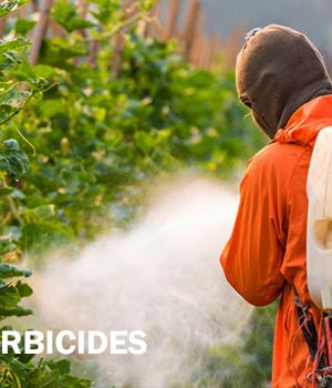 FORMULATED PRODUCTS – Herbicides