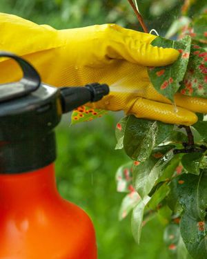 TECHNICAL PRODUCTS – Fungicides