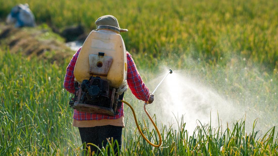 Pesticide: a silent threaT in our food