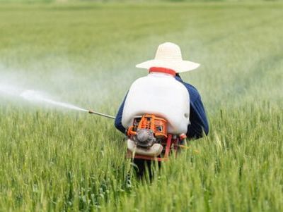 TECHNICAL PRODUCTS – Herbicide