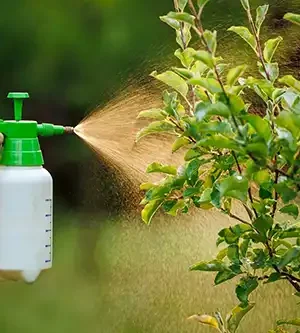 TECHNICAL PRODUCTS – Insecticides