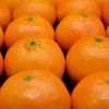 Orange (per kg)