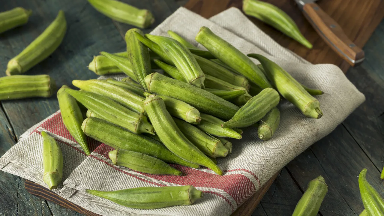 Cultivating Okra: from Seed and in Pot